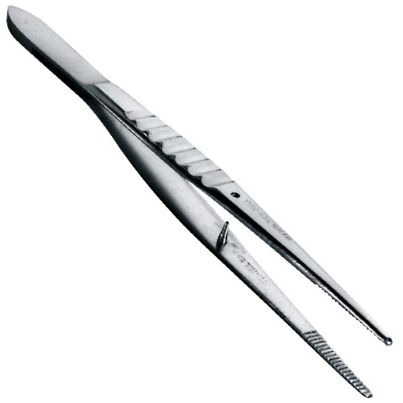 Stainless Steel Forceps