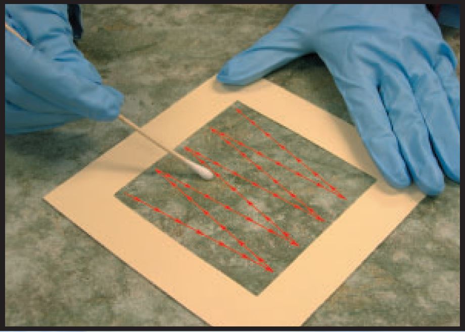 MethChek Step 1