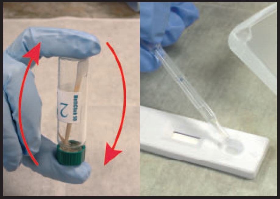MethChek Step 2