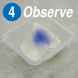 MethAlert Step 4: Observe