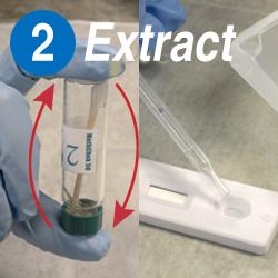 Extract MethChek meth residue test kit 560-002