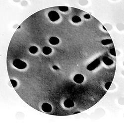 Polycarbonate Filter closeup